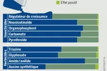 graphique